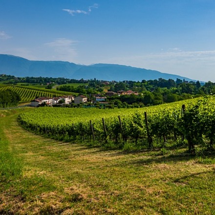 Weinhotels in Venetien